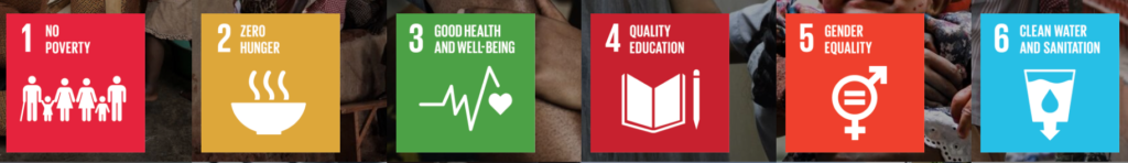 Sustainable Development Goals by UN